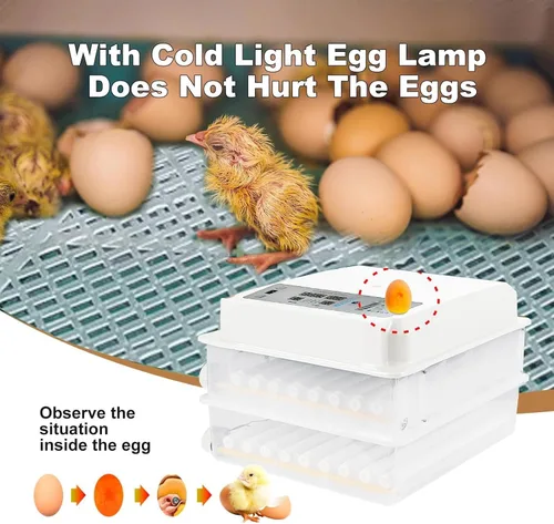 Miniatura 9 de Incubadora inteligente de 120 huevos, control de temperatura y humedad, pantalla LED, vela integrada, llenado de agua externo y potencia dual