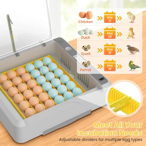 Miniatura 6 de Incubadora de huevos de 36-60 con giro automático de huevos y control de humedad, incubadora de huevos de pollo ajustable con pantalla digital
