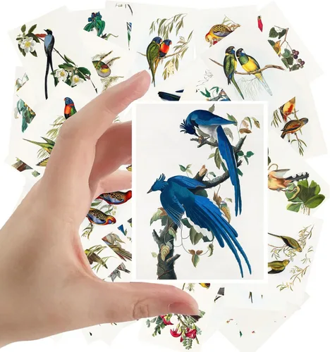 Miniatura 10 de Calcomanías grandes, 24 piezas (2.5 x 3.5 pulgadas cada una) pájaros, mariposas y flores, libro botánico antiguo, ilustración, postales vintage, Ocho