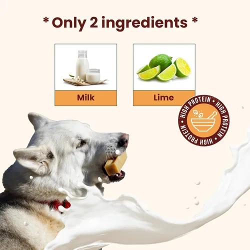 Miniatura 3 de Queso auténtico del Himalaya de yak para perros - Pequeño (Paquete de 10) - Procedencia de las estribaciones prístinas del Himalaya, sin cuero