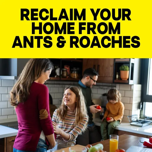 Miniatura 4 de Raid Ant & Roach Killer Spray para insectos enumerados, sigue matando durante semanas, aroma a limón, 17.5 onzas