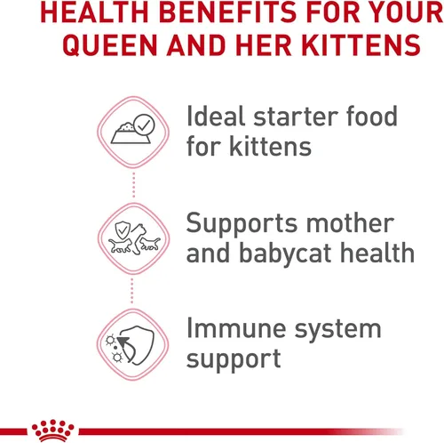 Miniatura 3 de Royal Canin Feline Health Nutrition Mother & Babycat Queen - Mousse en salsa ultra suave para gatos, 3 onzas (paquete de 6)