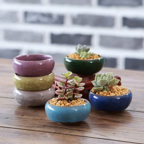 Miniatura 5 de Macetero para suculentas, 12 piezas de cerámica de 2.5 pulgadas, para plantas de cactus, maceta, maceta, contenedor/maceta