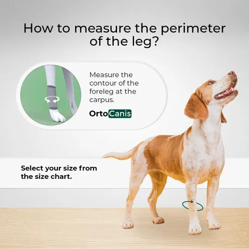 Miniatura 3 de Ortocanis - Soporte carpiano para perros Inestabilidad carpiano u osteoartritis, hiperextensión carpiano Estabiliza y reduce el dolor Férulas
