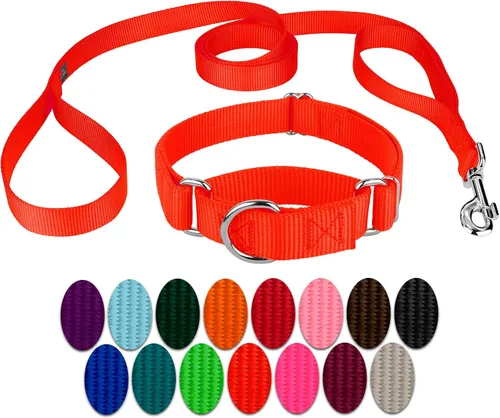 Miniatura 24 de Country Brook Petz - Collar para perro de nailon resistente Martingala azul hielo y correa de doble asa (1 pulgada, grande)
