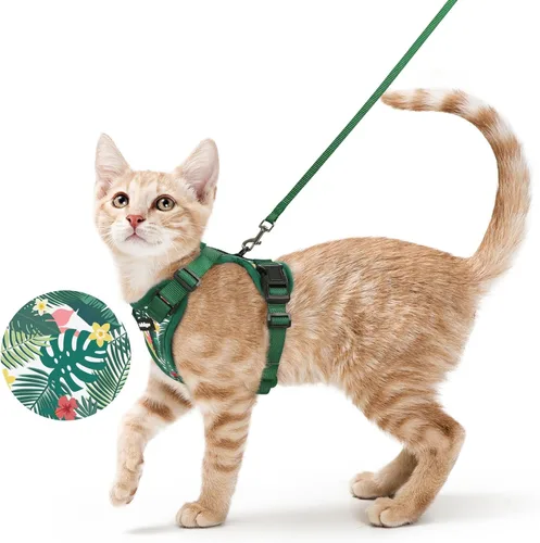 Miniatura 48 de rabbitgoo Juego de arnés y correa para gatos, arnés a prueba de escapes para paseos seguros al aire libre, chaleco suave transpirable ajustable