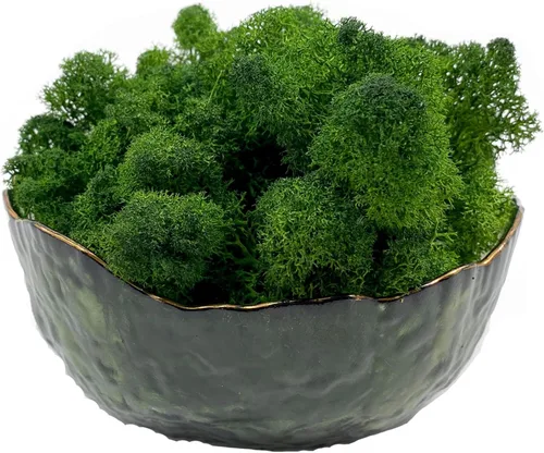 Miniatura 22 de Musgo artificial preservado de musgo para plantas en maceta, musgo verde fresco natural para manualidades, decoración de pared floral, centros