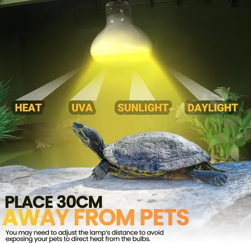 Miniatura 3 de CALPALMY Paquete de 4 bombillas de lámpara de calor de reptiles de 100 W, bombillas UVA para reptiles, tortugas, lagartos, dragones barbudos