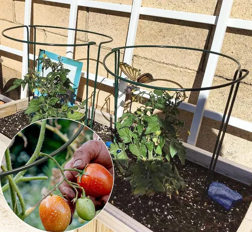Miniatura 7 de TCBWFY Paquete de 10 estacas de soporte para plantas de jardín, 10 pulgadas de ancho, 16 de alta resistencia, entrelazadas, semicirculadas