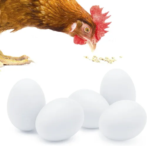 Miniatura 8 de SunGrow Huevos de madera falsos para entrenar a los pájaros de que no se pongan en las cajas de anidación y para dejar de comer sus propios huevos