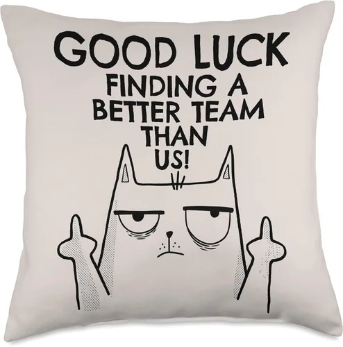 Miniatura 5 de New Job Gifts & Funny Farewell Coworker Ideas New Job Farewell, divertido compañero de trabajo que se va para hombres y mujeres, almohada de 16 x 16