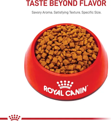 Miniatura 10 de Comida seca para gatitos de Royal Canin, Nutrición para la salud felina, Bolsa de 14 lb