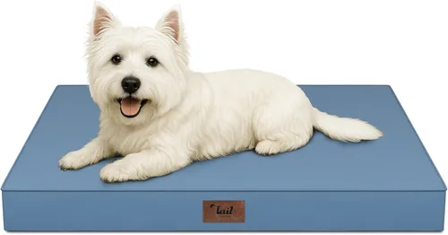 Miniatura 106 de Cama ortopédica de felpa para perros y cachorros medianos, camas impermeables para perros de 30 x 20 pulgadas con funda extraíble lavable, tapete