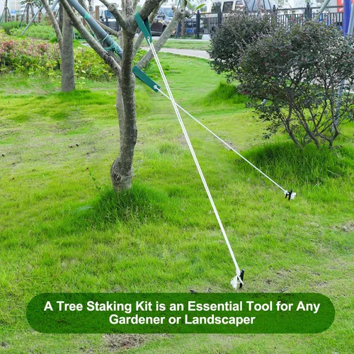 Miniatura 7 de Kits de estacas para árboles, estacas de árbol resistentes y kits de soporte para árboles jóvenes contra el mal tiempo, 3 estacas para árboles, 3