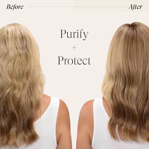 Miniatura 5 de L'ANZA Healing Colorcare Shampoos, Removes Buildup, Purifies Scalp, Moisturizing, Restores Softness, Adds Shine, Gentle Cleanse, Sulfate Free