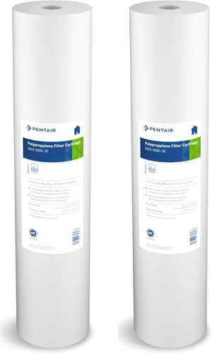 Pentair Pentek DGD-5005-20 Filtro de Agua Big Blue, Cartucho de Repuesto de Filtro de Sedimentos para Toda la Casa de 20 Pulgadas, Polipropileno