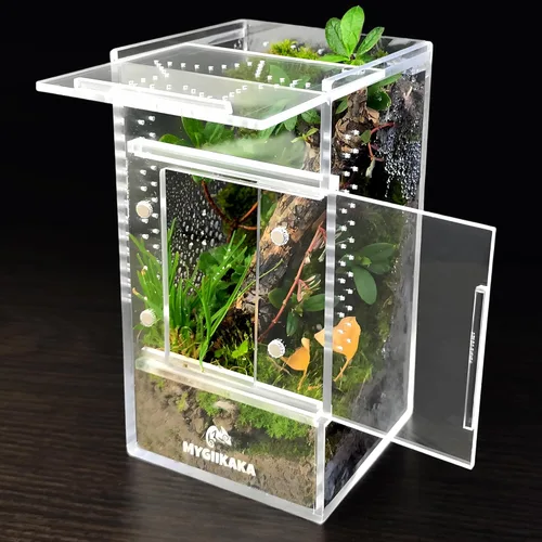 MYGIIKAKA Accesorios de caja de araña saltadora, caja de araña de tarántula, jaula para insectos, recinto de hábitat de mantis rezando, terrario de