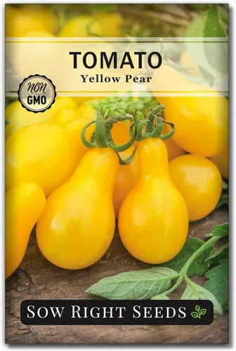 Sow Right Seeds - Semillas de tomate de pera amarilla para plantar - Paquete de reliquia sin OMG con instrucciones para plantar un huerto casero -