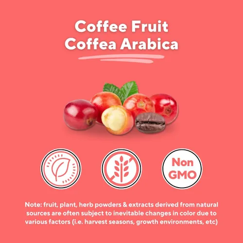 Miniatura 5 de Vitacoffee Píldoras de cafeína – Fruta de café, vitamina C, vitamina D, gluconato de zinc – Energía, memoria, enfoque, antioxidante, soporte