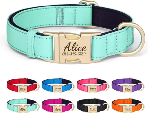 Miniatura 10 de Collar para perro personalizado PET ARTIST, collar para perro rojo personalizado con etiqueta de identificación grabada silenciosa, nylon ligero