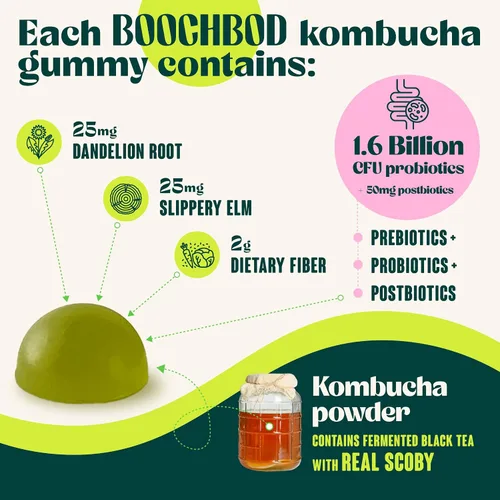 Miniatura 4 de BoochBod - Gomitas probióticas de kombucha - Prebióticos, probióticos, postbióticos, suplemento de fibra, olmo resbaladizo, raíz de diente de león