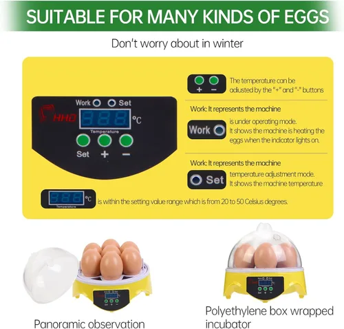 Miniatura 5 de Mini incubadora de huevos de 7 huevos con vista de 360°, kit educativo para eclosionar para niños, aulas y familias, control automático