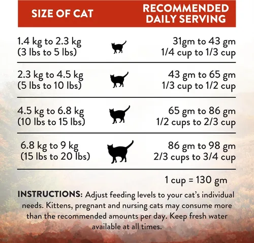 Miniatura 6 de Addiction Wild Islands Forest Meat - Alimento seco para gatos, receta de venado premium con fórmula alta en proteínas y sin granos para la nutrición