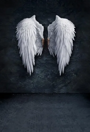 AOFOTO Fondo de pared de 3 x 5 pies, diseño de alas de ángel, fondo de fotografía de pared para niños, niñas, niños, adultos, retrato artístico,