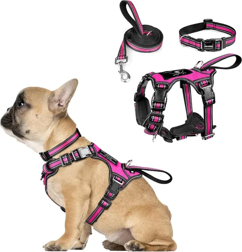Miniatura 21 de WINSEE - Juego de arnés, collar y correa para mascotas, todo en uno, arnés reflectante para perros sin tirones con hebillas ajustables para Rojo