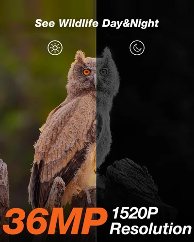 Miniatura 4 de iZEEKER Cámara de Sendero Solar con Visión Nocturna Activada por Movimiento 4K 30fps 48MP, Cámara de Caza, Sin WiFi, Batería de Litio de Alta