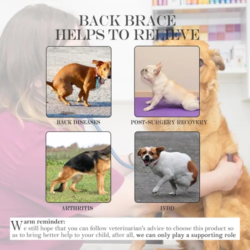 Miniatura 2 de IVDD Correa de espalda para perros con discos deslizados y herniados - Correa de espalda para Teckels y Corgis, asegurando estabilidad espinal