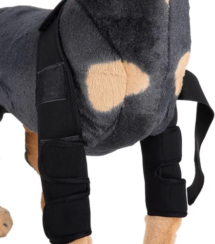 Miniatura 3 de Soporte de pierna delantera para perro, soporte de compresión canina, para hombro, protege heridas, articulación de corvejón para curar, evita