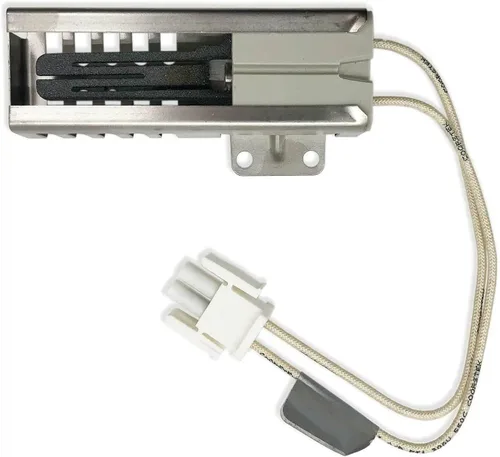 Encendedor de quemador de horno de cocina de gas para la gama de gas de Samsung NX60T8711SG/AA NX60T8711SS/AA NX60T8711ST/AA NX60T8751SG/AA