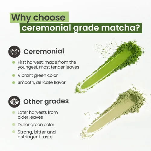 Miniatura 4 de PureChimp Polvo de matcha de grado ceremonial, 1.75 onzas. Té japonés puro de grado ceremonial matcha cultivado en sombra en Kagoshima. Polvo de té