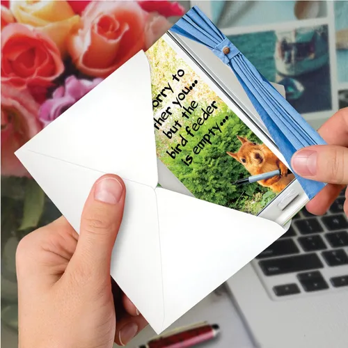 Miniatura 6 de NobleWorks Paquete de 3 divertidas tarjetas de felicitación de cumpleaños con sobres (1 diseño, 3 cada uno) comedero vacío para pájaros C2561BDG-C3x1