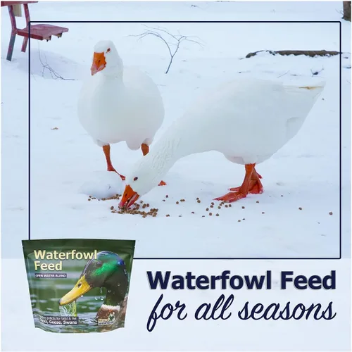 Miniatura 6 de Natural Waterscapes Alimento flotante para aves acuáticas (5 libras) para patos salvajes, patos de mascotas, gansos, cisnes