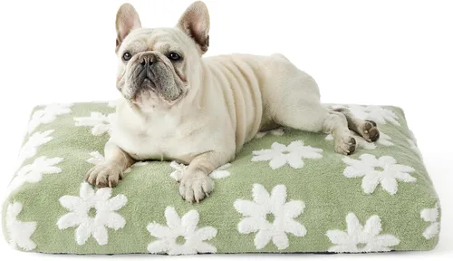 Miniatura 13 de LE SURE - Cama pequeña para perro con espuma triturada gruesa, cama para interiores con funda afelpada extraíble y base antideslizante, verde