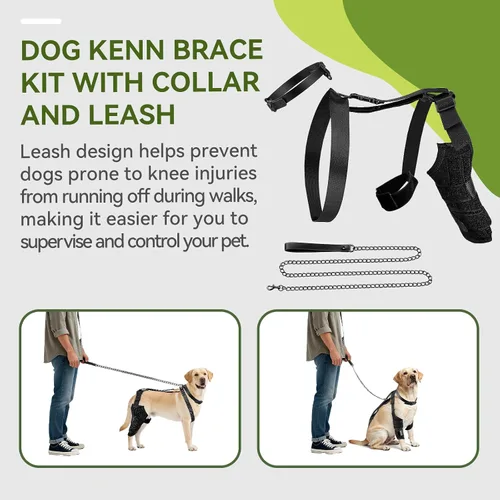Miniatura 4 de Rodillera de perro para pierna trasera, soporte ajustable para piernas de perro para desgarro de ACL, soporte de pierna trasera, estabilidad