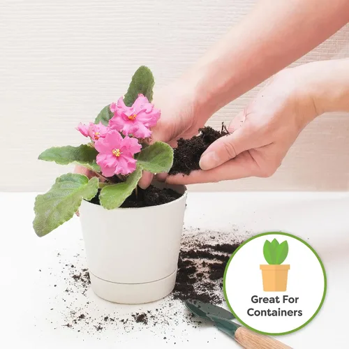 Miniatura 3 de Perfect Plants Sustrato para macetas de violeta africana de 2 cuartos Mezcla de plantas orgánicas perfectamente elaboradas para violetas