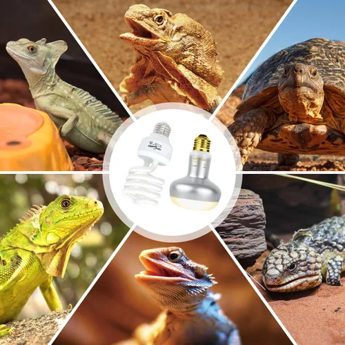 Miniatura 8 de REPTI ZOO Paquete combinado de lámpara de calor para reptiles con doble lámpara de reptil, luz intensa de 100 W, lámpara de calefacción de luz