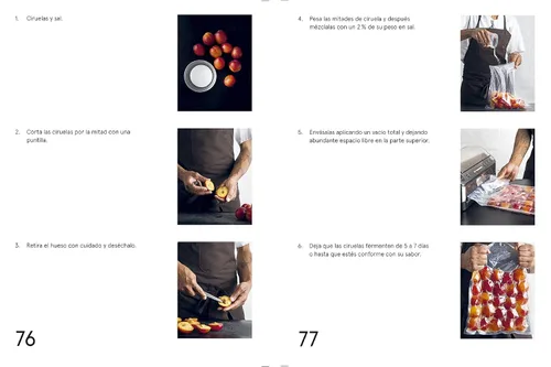 Miniatura 7 de La guía de fermentación de Noma: Incluye koji, kombuchas, salsas shoyu, misos, vinagres, garum, fermentos lácticos y frutas (Foundations of Flavor)