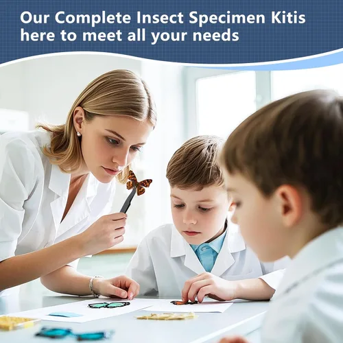 Miniatura 7 de Kit de herramientas para especímenes de insectos - Tabla de fijación de espuma EVA, papel coordinado, papel para prensar alas, pines para insectos