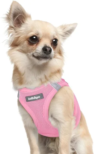 Miniatura 95 de rabbitgoo Arnés para perro pequeño, chaleco de malla suave para cachorros con hebilla de seguridad, arnés reflectante transpirable para mascotas