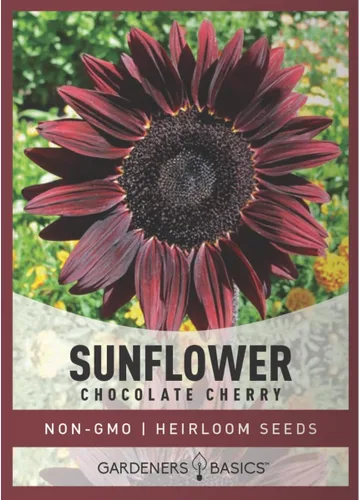Gardeners Basics Semillas de girasol de cereza de chocolate para plantar flores, es una variedad de flores sin OMG, semillas de girasol rojo,