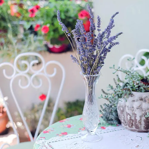 Miniatura 7 de Timoo - Paquetes de lavanda seca 100 % naturales, flores secas de lavanda para decoración del hogar, accesorios para fotos, fragancia del hogar