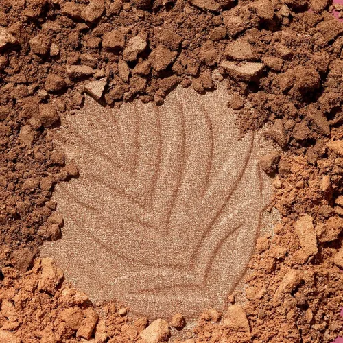 Miniatura 11 de wet n wild Color Icon Bronzer What Shady Beaches Qué playas sombreadas