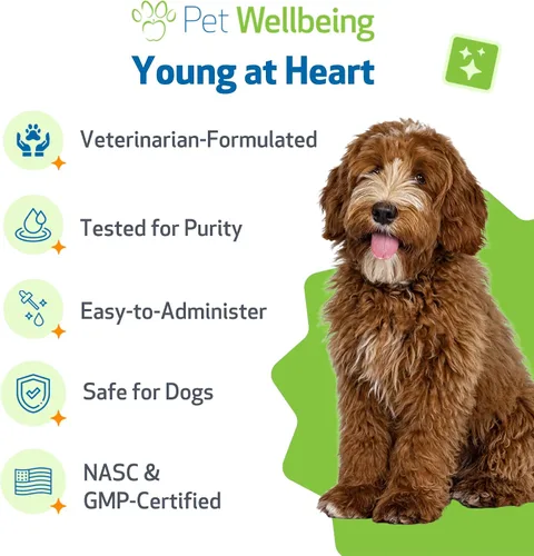 Miniatura 5 de Pet Wellbeing Young at Heart para perros - Apoyo a la salud cardíaca para personas mayores, bienestar cardiovascular con espino y agripalma
