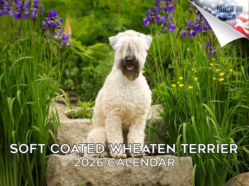Miniatura 51 de Calendario 2025 2026 de cachorros Cocker Spaniel - Calendario mensual de pared de raza de perro - 12" x 24" abierto - Papel grueso sin sangrado