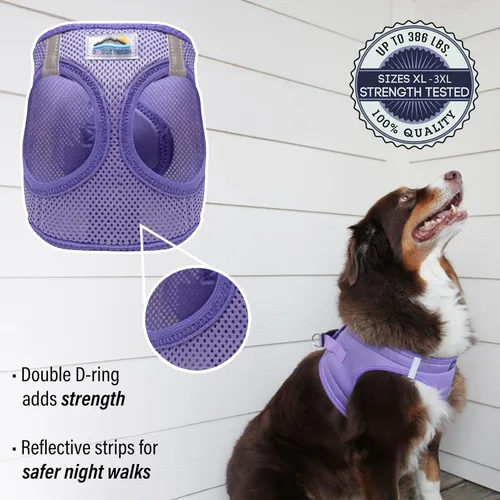 Miniatura 3 de Doggie Design Arnés para perro – Arnés sin estrangulamiento para mascotas, chaleco para perro, malla de poliéster, diseño simple, chaleco