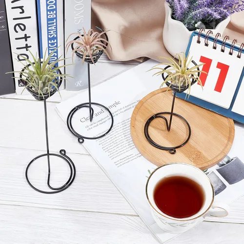 Miniatura 6 de AHANDMAKER Paquete de 6 soportes para plantas de aire, 3 tamaños, contenedor de plantas de aire, soporte Tillandsia para exhibir plantas de aire
